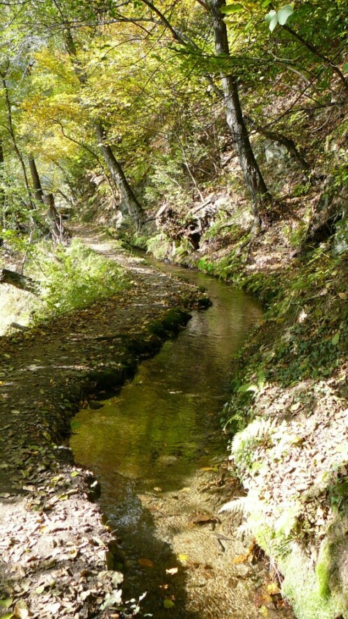 Der wildromantische Kuenser Waalweg - wunderschön...

Aufnameort: Südtirol (Kuens, Nähe Meran)
Kamera: Panasonic DMC-TZ1