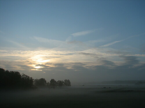 Am frühen Morgen ein Blick auf das herbstliche Deichvorland der Elbe.

Aufnameort: In der Elbtalaue nahe Gorleben
Kamera: Canon Power Shot S2 IS