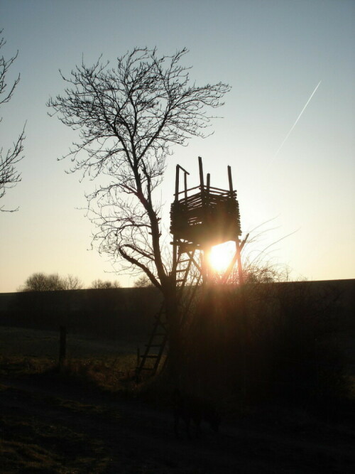 sonnenaufgang-im-herbst-2457.jpeg