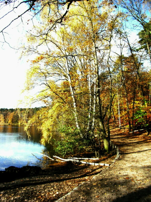 Spaziergang am Schlachtensee

Aufnameort: Berlin Schlachtensee
Kamera: caplio R6