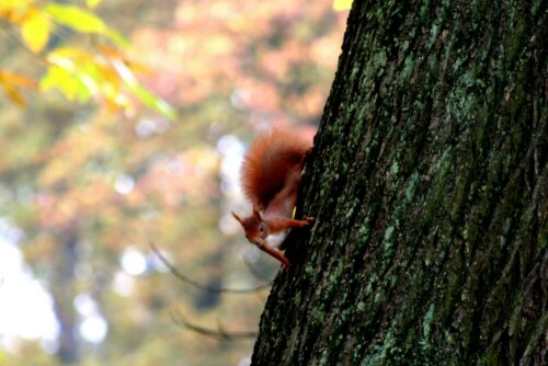 

Aufnameort: Bremen
Kamera: Canon Eos 350D