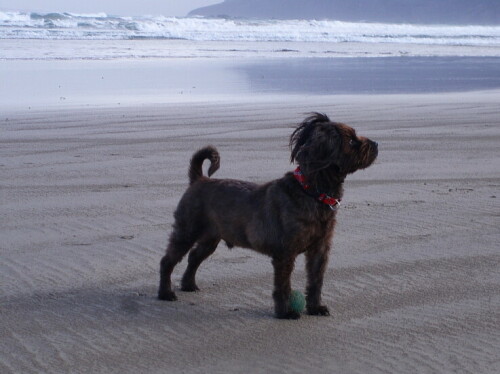 

Aufnameort: Famara, Lanzarote
