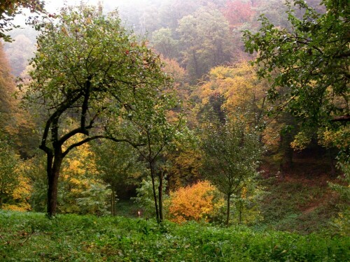 

Aufnameort: Wald in Schriesheim
Kamera: Cannon Ixus 950 IS