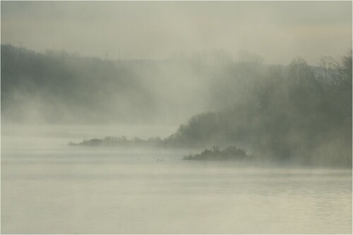 Der erste frostige Tag lies am 17.11.08 diesen Nebel an der Elbe aufsteigen. An geschützten Stellen hielt er sich, doch kurz darauf war der Spuk schon wieder vorbeil

Aufnameort: Geesthacht an der Elbe
Kamera: Sony Alpha 700