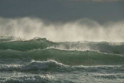 

Aufnameort: ESP, Costa de la Luz, Zahara de los Atunes
Kamera: Nikon D200, AF-S-Nikkor 18-200 / 1.3.5-5.6