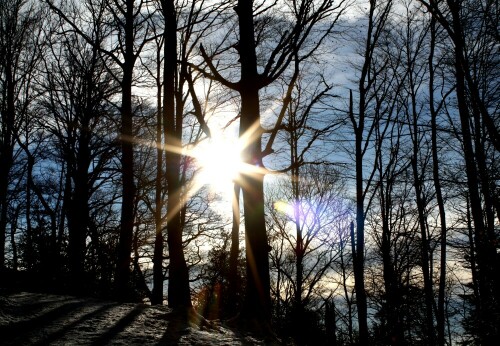 Gegenlichtaufnahme im Winterwald

Aufnameort: Stadtwald Baden  Baden nähe altes Schloss auf dem Weg zur Ritterplatte
Kamera: Canon EOS 1000D