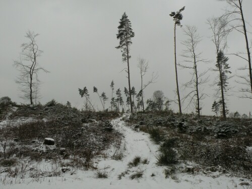 Reste eines Waldes auf der Hangkante

Aufnameort: Bammersdorf-Mittelfranken
Kamera: Nikon P80