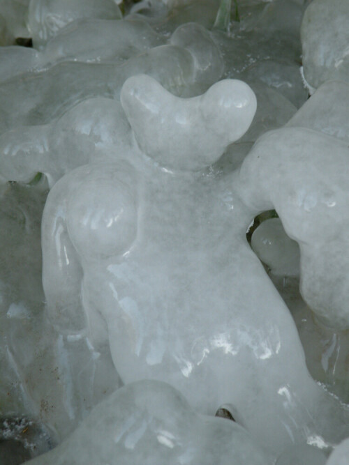 Eisgestalt, einem Bären ähnlich

Aufnameort: am Brunnen bei Bammersdorf, Landkrs. Ansbach
Kamera: Nikon P80