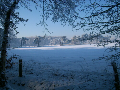 

Aufnameort: Bocholt Stadtwald
