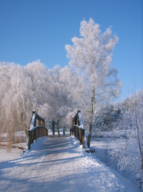 

Aufnameort: Bocholt Stadtwald
