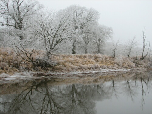 Frostige Tage an der Elbe. Auch wenn die Finger eisig kalt waren ging es immer weiter am Ufer entlang auf der Suche nach Motiven.

Aufnameort: An der Elbe bei Gorleben
Kamera: Canon Power Shot S2 IS