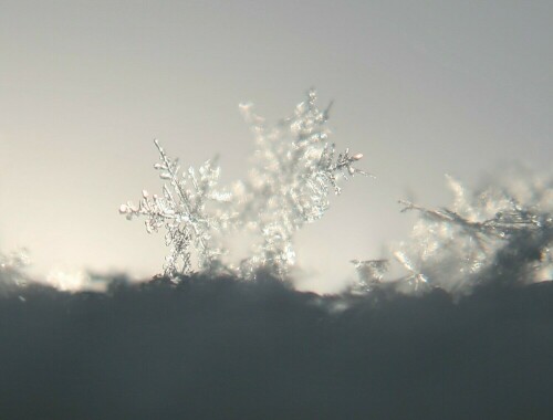 Schneeflockentanz einmal anders.

Aufnameort: Regen bay. Wald
Kamera: Canon EOS 400D