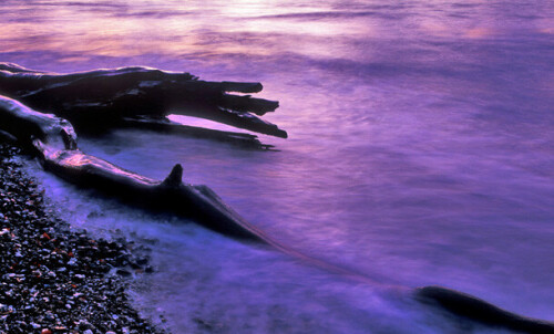 Holzstück am Strand wird vom Wasser umspült

Aufnameort: Europa, Deutschland, Rügen, Sassnitz, Kreidefelsen-Küste
Kamera: Nikon F4, AFs 28-70 mm, Fuji Velvia 50