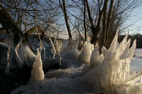 

Aufnameort: Ketzin/Havel Trebelsee
