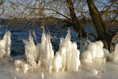 

Aufnameort: Ketzin/Havel Trebelsee
