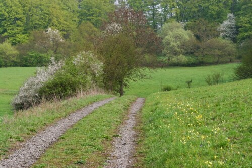 Landschaftsfotografie mit Ludwig Karner
Habichtswald-Nordhessen bei Burghasungen

Aufnameort: Habichtswald-Burghasungen
Kamera: Canon EOS 20D