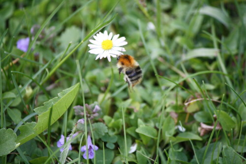 

Aufnameort: bei München
Kamera: Canon EOS 1000D