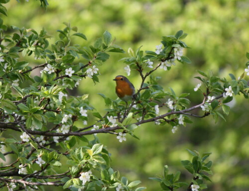 

Aufnameort: bei München
Kamera: Canon EOS 1000D