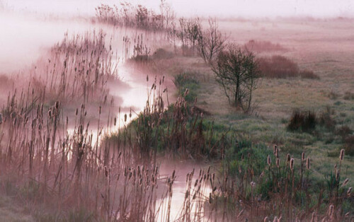 Nebelstimmung am frühen Morgen

Aufnameort: Europa, Austria, Burgenland, Naturpark Raab
Kamera: Nikon F100, AFs 2,8/28-70, Fuji Velvia 50