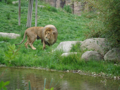 ein-besuch-im-leipziger-zoo-4962.jpeg