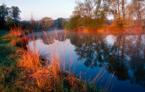 

Aufnameort: Europa, Ausria, Burgenland, Naturpark Raab
Kamera: Nikon F100, AFs 2,8/28-70 mm, Fuji Velvia