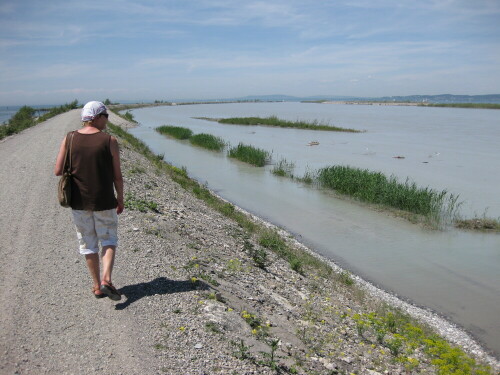 Mit der Rheinvorstreckung soll verhindert werden, dass im Bodensee die Bregenzer Bucht verlandet.
http://martin-ebner.net/regions/lake-constance/rheinmuendung/

Aufnameort: Fussach, Österreich, 2009
