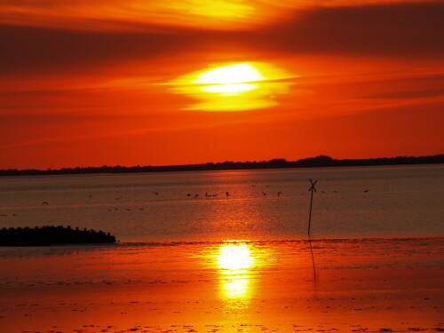 Sonnenuntergang über dem Wattenmeer.

Aufnameort: Wesselburenerkoog / Deutsche Nordsee
Kamera: Olympus E 500