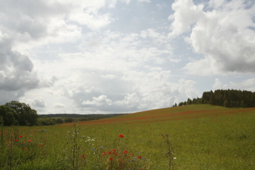 sommer-in-brandenburg-4056.jpeg