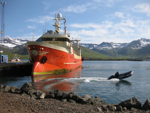 

Aufnameort: Siglufjördur, Island, 2009
