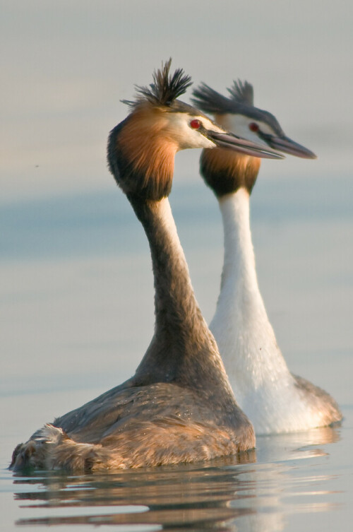 

Aufnameort: Gardasee
Kamera: Nikon D300