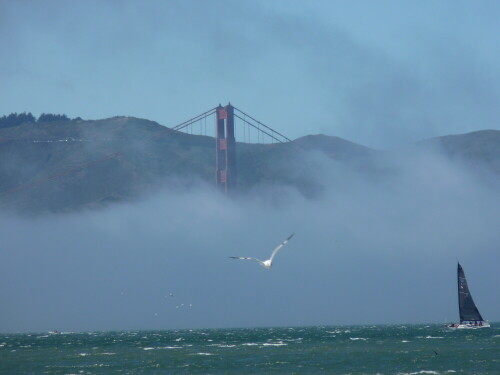 

Aufnameort: San Franzisko
Kamera: Lumix FZ 38