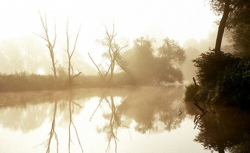 morgenstimmung-am-wasser-4199.jpeg