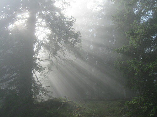 Bei meiner Bergtour fing ich dieses schöne Lichtspiel ein.

Aufnameort: Sorgschrofen, Unterjoch
Kamera: Canon Powershot A590 is