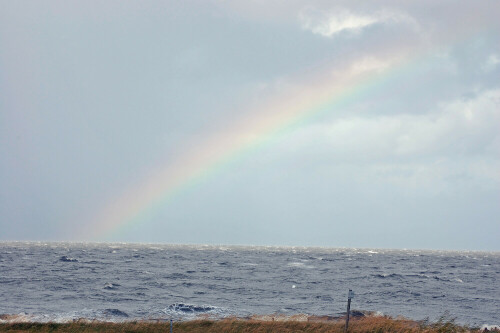 Hinter mir die Sonne, vor mir eine Regenfront, dazwischen die wütende Nordsee, gepeitscht vom Wind. Und darüber ein wunderschöner Regenbogen.

Aufnameort: Cuxhaven
Kamera: Nikon d40