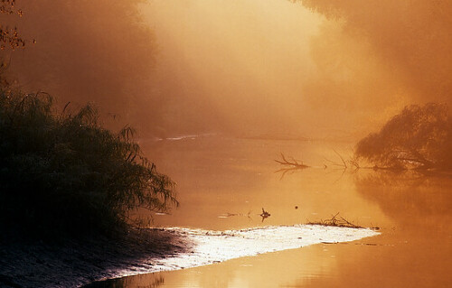 Europa, Austria, Niederösterreich, Donau-Auen, Sonnenaufgang in den Donau-Auen

Aufnameort: Donau-Auen
Kamera: Nikon F100