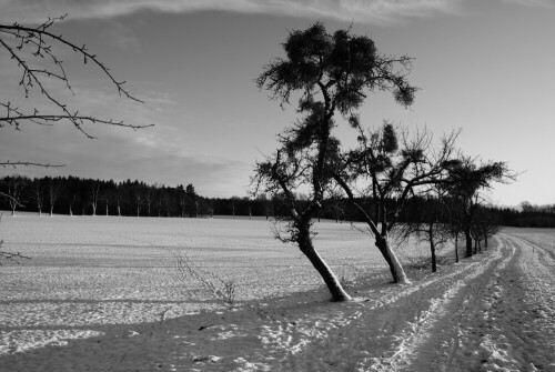 

Aufnameort: Hohenschäftlarn, Bayern
Kamera: Sony Alpha