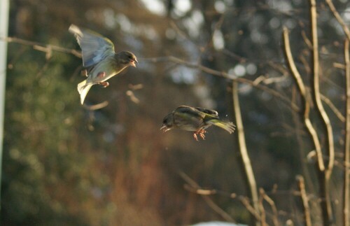 

Aufnameort: Kirchheimbolanden
Kamera: SONY Alpha 350