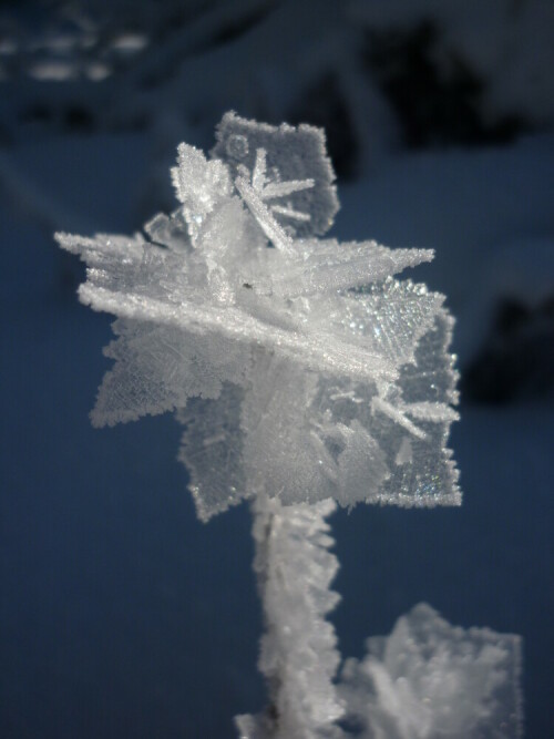 

Aufnameort: Hinterzarten, Schwarzwald
Kamera: Canon EOS 7D