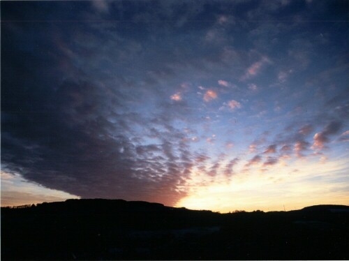 spatsommerliche-abendstimmung-in-der-pfalz-12686.jpeg