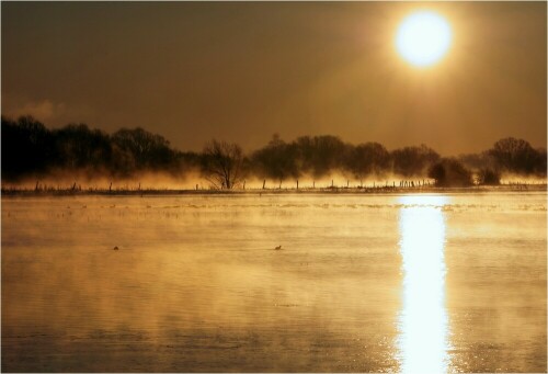 Ein traumhaft schöner Sonnenaufgang zeigte sich mir im März an der Elbe. Bei minus 12°  stieg der Nebel auf von den überschwemmten Wiesen... Ein Genuss für die Augen

Aufnameort: Bleckede, Elbe, Niedersachsen
Kamera: Sony Alpha 700