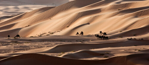 Auf der Heimfahrt aus der Wueste Rub al Khali.

Aufnameort: Rub al-Khali; Abu Dhabi
Kamera: Canon EOS-1D Mark II N