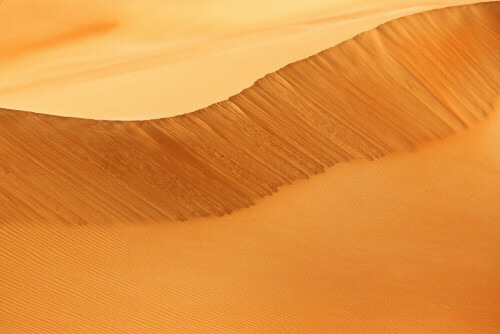 Im März haben wir Freunde in Abu Dhabi besucht.
AUf einem Ausflug ging es in die Rub al-Khali, eine wunderschöne Wüstenlandschaft.

Aufnameort: Rub al-Khali; Abu Dhabi
Kamera: Canon EOS-1D Mark II N