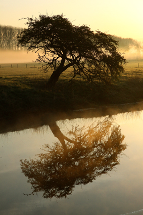 morgennebel-lippe-5431.jpeg