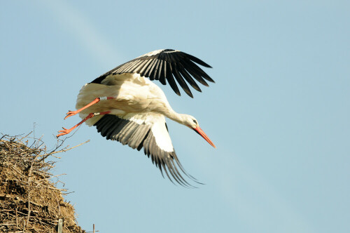 

Aufnameort: Lüneburger Heide
Kamera: Nikon D300s