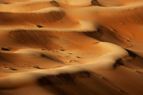 Immer noch in Abu Dhabi in der Wueste Rub al-Khali.

Aufnameort: Rub al-Khali; Abu Dhabi
Kamera: Canon EOS-1D Mark II N