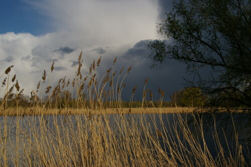 

Aufnameort: Ketzin/Havel
