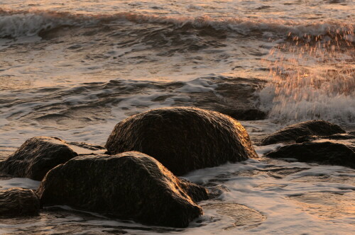 

Aufnameort: Ostsee
