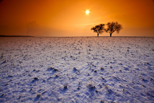 Schneebedecktes Feld Bei Tiefstehender Sonne.

Aufnameort: Bad Wimpfen
Kamera: Eos 50D