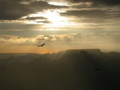 

Aufnameort: Grand Canyon, USA
