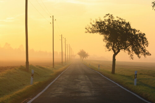 Sonnenaufgang

Aufnameort: Deutschland
Kamera: Canon EOS 60D